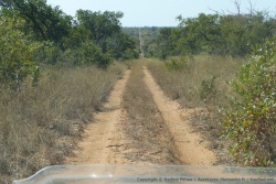 La piste interminable et rectiligne qui relie la partie Sud à la partie Nord de Gonarezhou