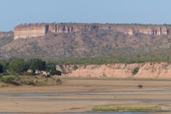 Quelle vision sublime s'offre à nous, une merveille de l'Afrique sauvage
