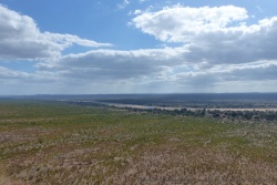La rivière trace une véritable saignée dans la savane environnante