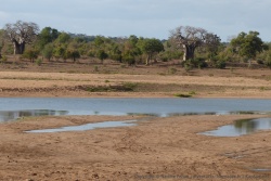 Il n'y a pas plus africain comme paysage
