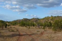 Les collines qui nous entourent accueillent elles aussi des baobabs
