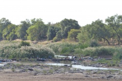 Nous retrouvons avec plaisir l'activité humaine colorée et animée sur les bords de la rivière