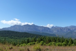 Une partie des montagnes est consacrée à la forêt intensive