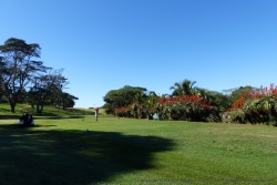David peut enfin profiter de son cadeau d'anniversaire, un parcours sur un des plus beaux golfs 