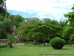Le camping du Nkopola Lodge est un endroit idyllique
