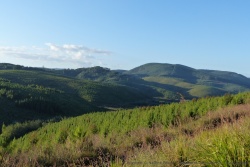 A notre grande surprise, la majorité des montagnes est consacrée à l'exploitation forestière
