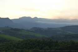 En s'élevant dans les montagnes, nous atteignons les plantations de thé