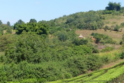 En redescendant, les petites fermes se réapproprient peu à peu les terres