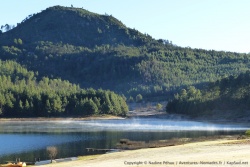Gelée blanche, sapins, volutes de vapeur sur le lac et pourtant on est bien en Afrique !