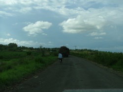 Cette plaine aux alentours de Dwanga est entièrement consacrée à la culture de la canne à sucre qu'on récolte aujourd'hui