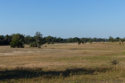 Une plaine de savane bien vide