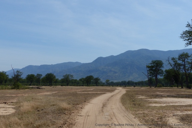 A l'est de Mana Pools, le climat semble plus aride