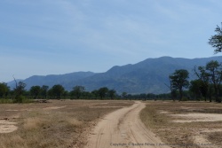 A l'est de Mana Pools, le climat semble plus aride