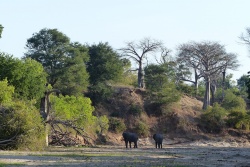 zimbabwe-2015-0531-161219