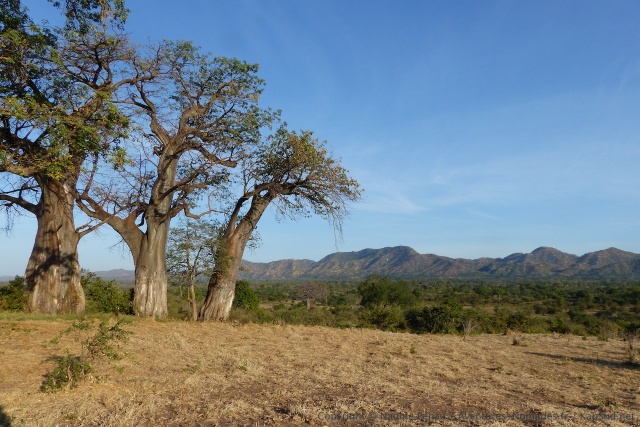 Les paysages sont radicalement différents des rives du Zambèze