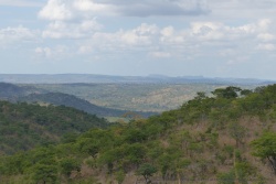 Nous traversons des paysages montagneux couverts de forêt