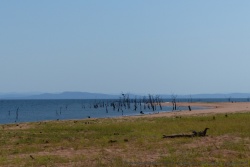 Paysages caractéristiques du lac Kariba, les troncs des arbres submergés par le barrage