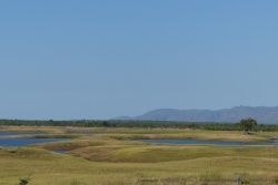 Les prairies découvertes par les eaux sont tapies d'une jolie herbe bien rase