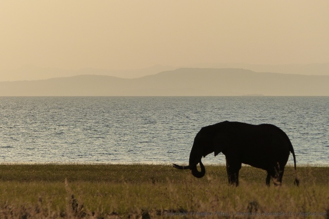 De magnifiques silhouettes se détachent des horizons embrumés