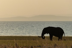 De magnifiques silhouettes se détachent des horizons embrumés
