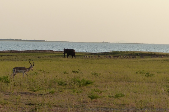 zimbabwe-2015-0604-170130