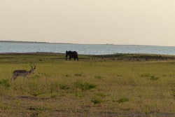 zimbabwe-2015-0604-170130