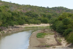 Cultiver les champs sur les rives d'une rivière optimise les chances d'une bonne récolte