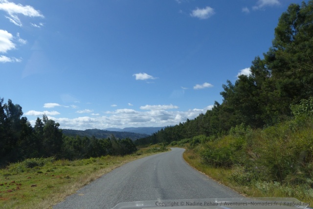 Une belle route de montagne, sinueuse à souhait, bordée de sapins