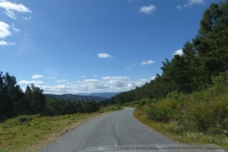 Une belle route de montagne, sinueuse à souhait, bordée de sapins