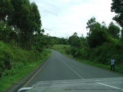 Ici par contre, c'est la région des plantations de thé