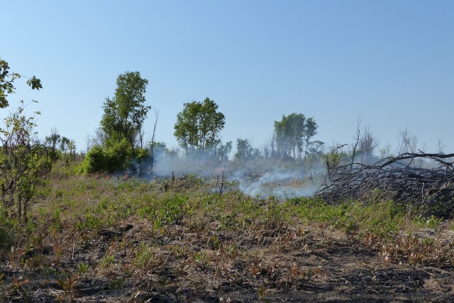 Les rangers du parc mettent régulièrement le feu aux broussailles pour éviter des incendies incontrôlables