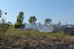 Les rangers du parc mettent régulièrement le feu aux broussailles pour éviter des incendies incontrôlables
