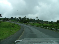 La route qui n'arrête pas de grimper en altitude, est bordée par des hortensias en fleur, à notre plus grande surprise