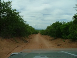 La piste qui mène au parc de Ruaha est taillée au cordeau !