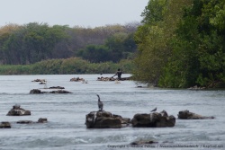 Non loin des chutes, des pêcheurs tentent leur chance
