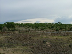 Paysages à l'entrée du Ruaha NP