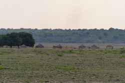 Chaque hameau est accompagné d'un gros bosquet de manguiers