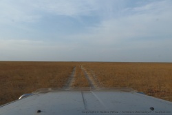 Les plaines déroulent leur tapis d'herbes sèches à l'infini