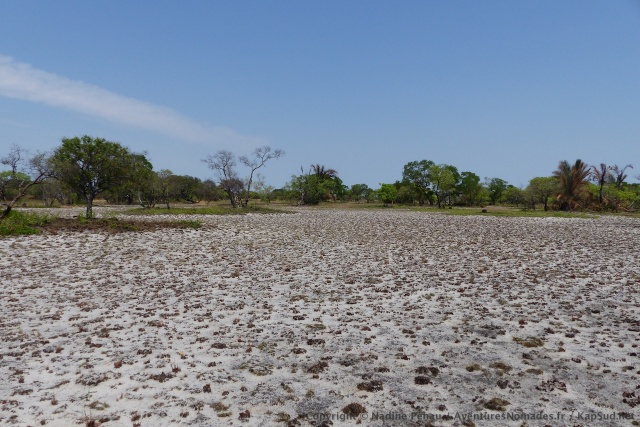 Des sortes de pans asséchés composent de temps en temps le paysage
