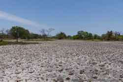 Des sortes de pans asséchés composent de temps en temps le paysage