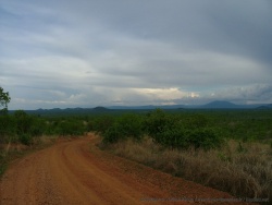 Les paysages de Ruaha NP sont superbes