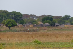 A Liuwa, les communautés locales vivent dans le parc en cohabitant avec les animaux