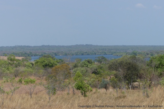 La rivière Kafue noyée dans la forêt