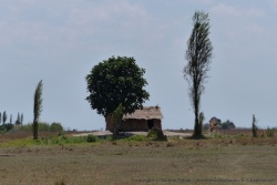 La moindre butte est occupée par une habitation et quelques arbres