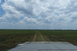 Dans quelques jours, les marais de Bangweulu seront accessibles uniquement par bateau