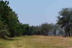  De grandes prairies couvertes d'herbes bordent les petits cours d'eau
