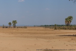 Dès qu'on s'éloigne du Zambéze et de ses cours d'eau, le désert semble vouloir l'emporter