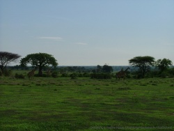 Les paysages sont vraiment magnifiques