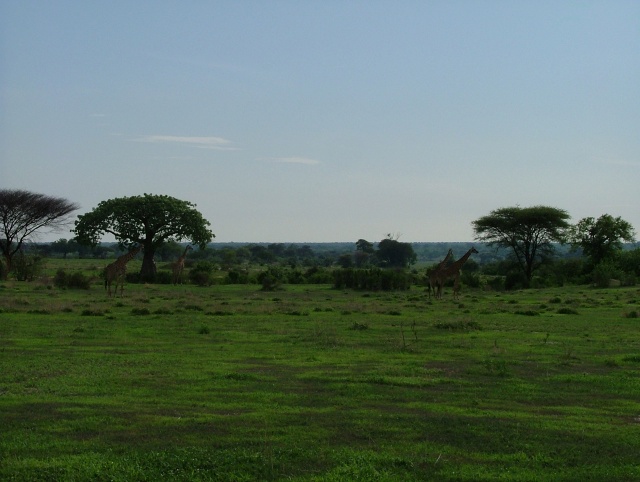 Les paysages sont vraiment magnifiques