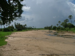 Un mince filet d'eau subsiste dans la rivière Ruaha